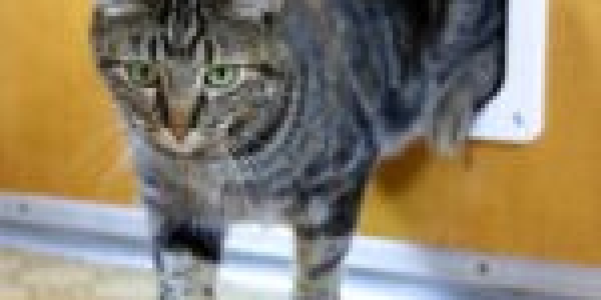 Ten Cat Door Contractor Products That Can Help You Live Better