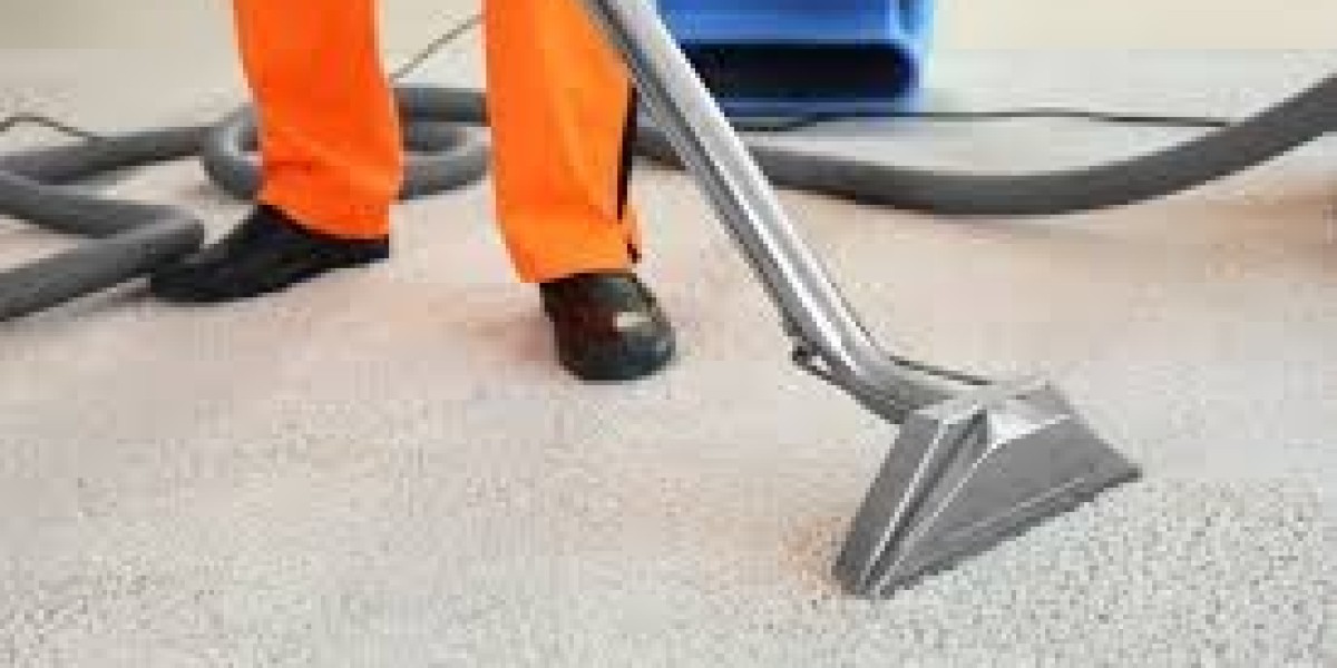 How Carpet Cleaning Promotes a Healthier Living Environment