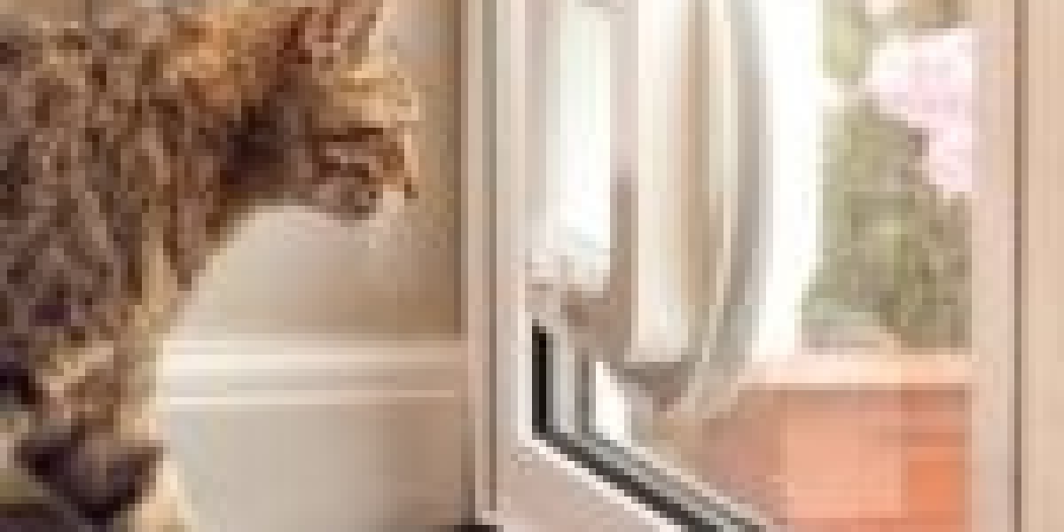 From The Web The 20 Most Amazing Infographics About Outdoor Cat Door Installer
