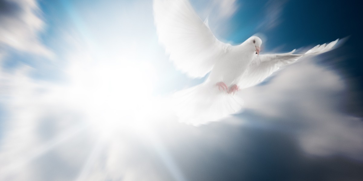 Modafinil: The new Frontier in Online Purchases Without Prescription