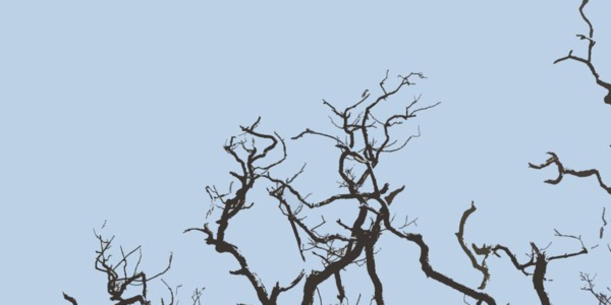 Wachstumshormon und Alterung – Eine klinische Übersicht