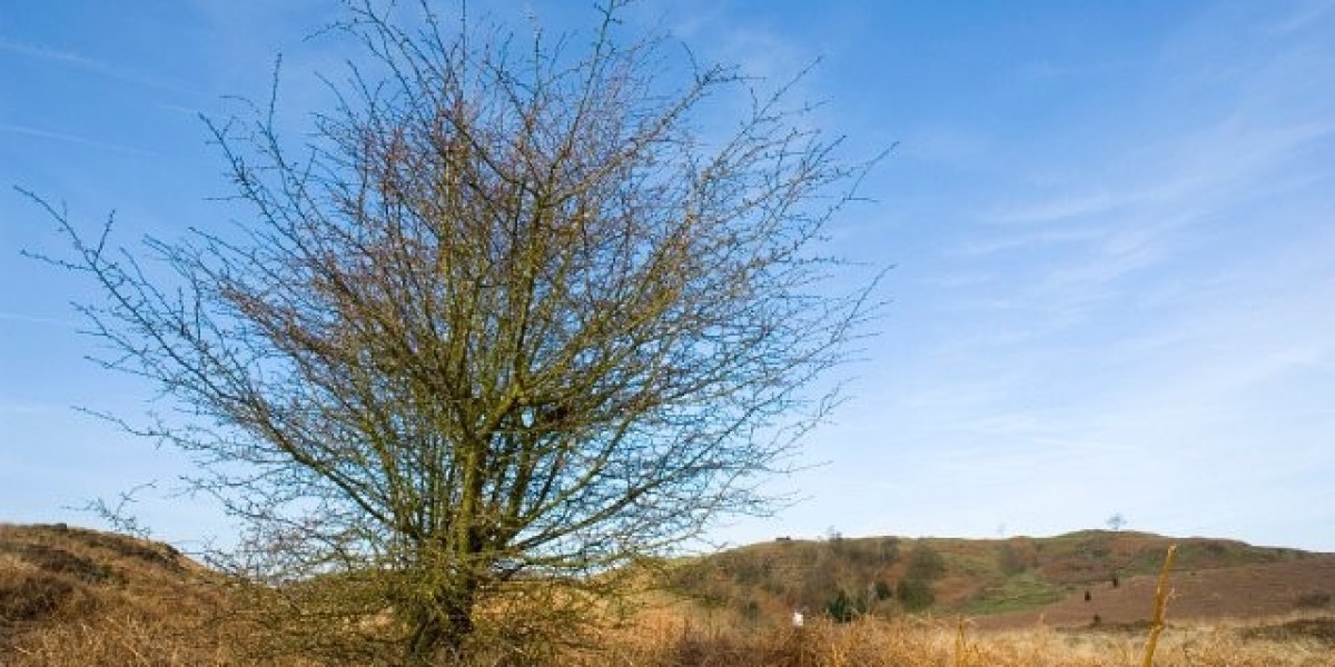 Hotels near Adelaide Casino Adelaide from $78 night