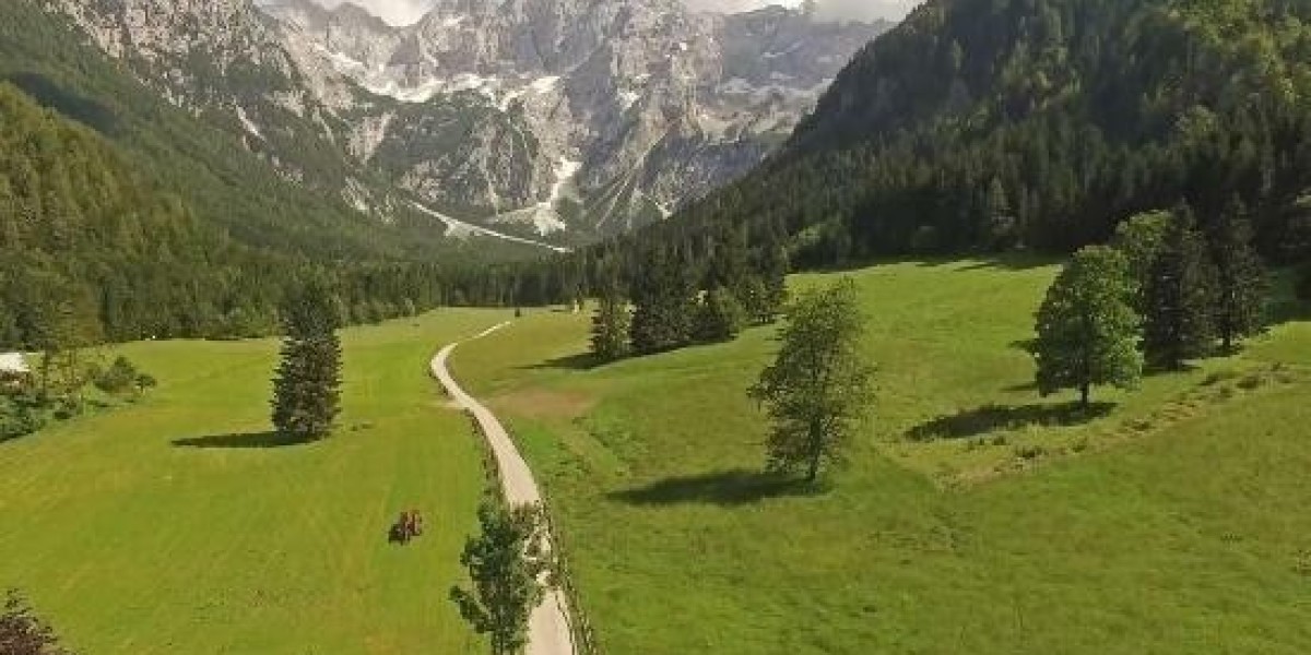 Boboye Reflects on First 10 Games as Sunshine Coach