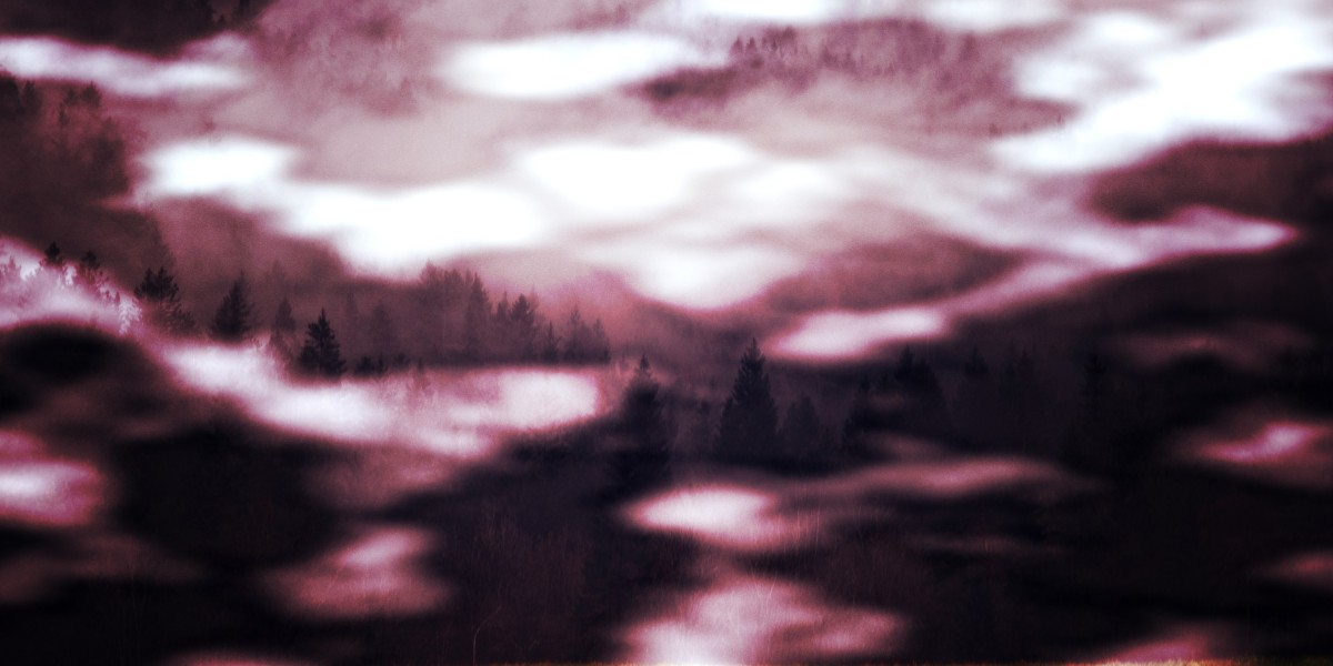 Observational Insights into Group Private Jet Charters: Trends, Preferences, And Experiences