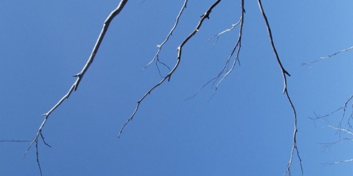 King Billy Crypto Casino Review & Bonus 2025