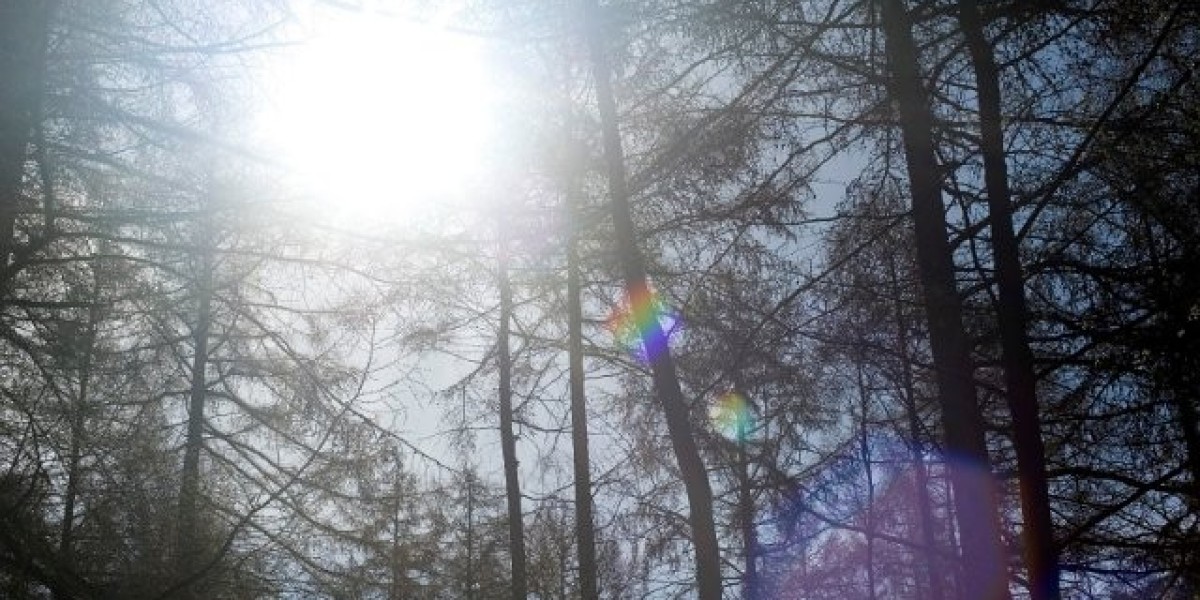 Meet the People Behind the Play