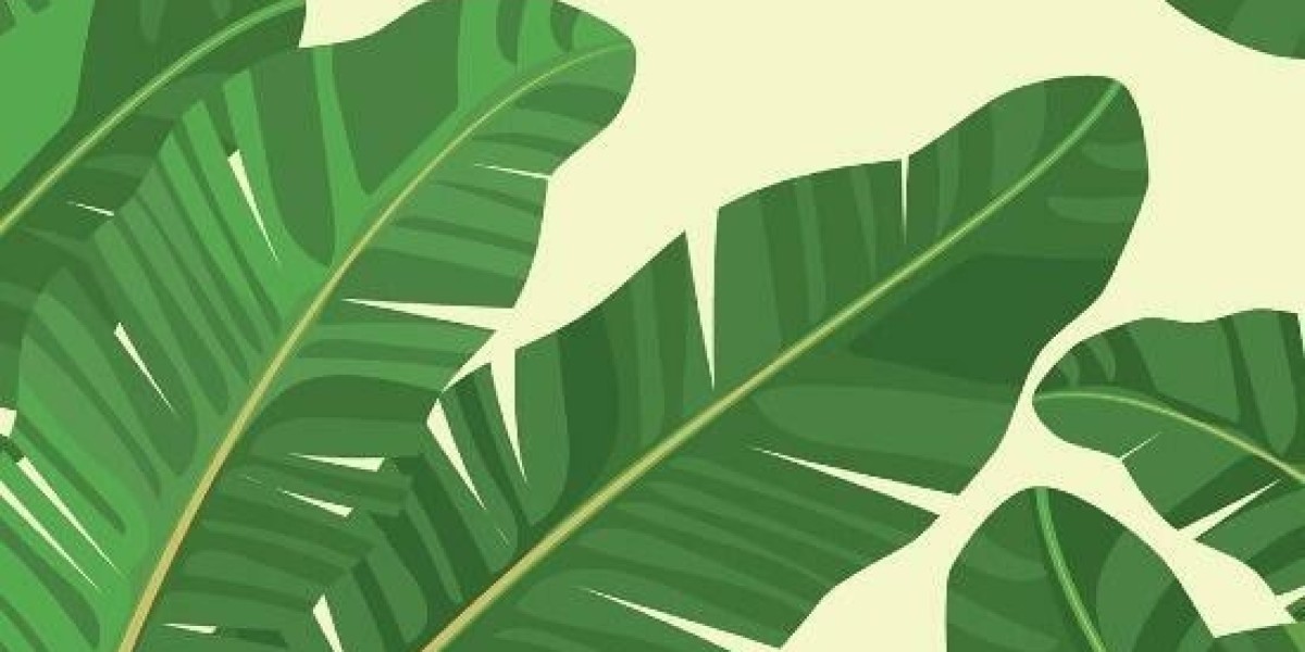 Welcome to the World of Triple Net Leases