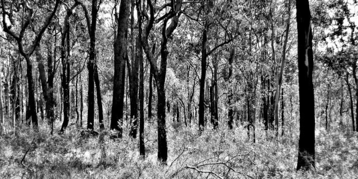 Online Kaszinó Magyarországon