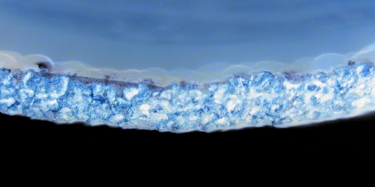 Login Package 150% Up To 1000 AUD + 25 FS