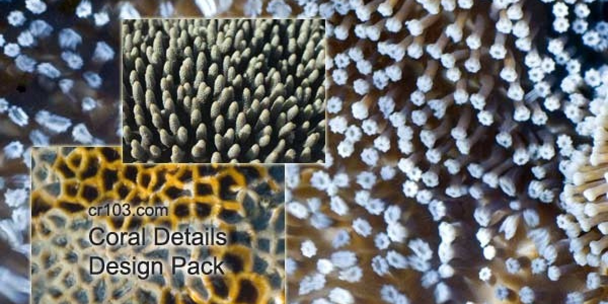 Casinos Near Me Free Tool to Find the Closest Casinos by Location