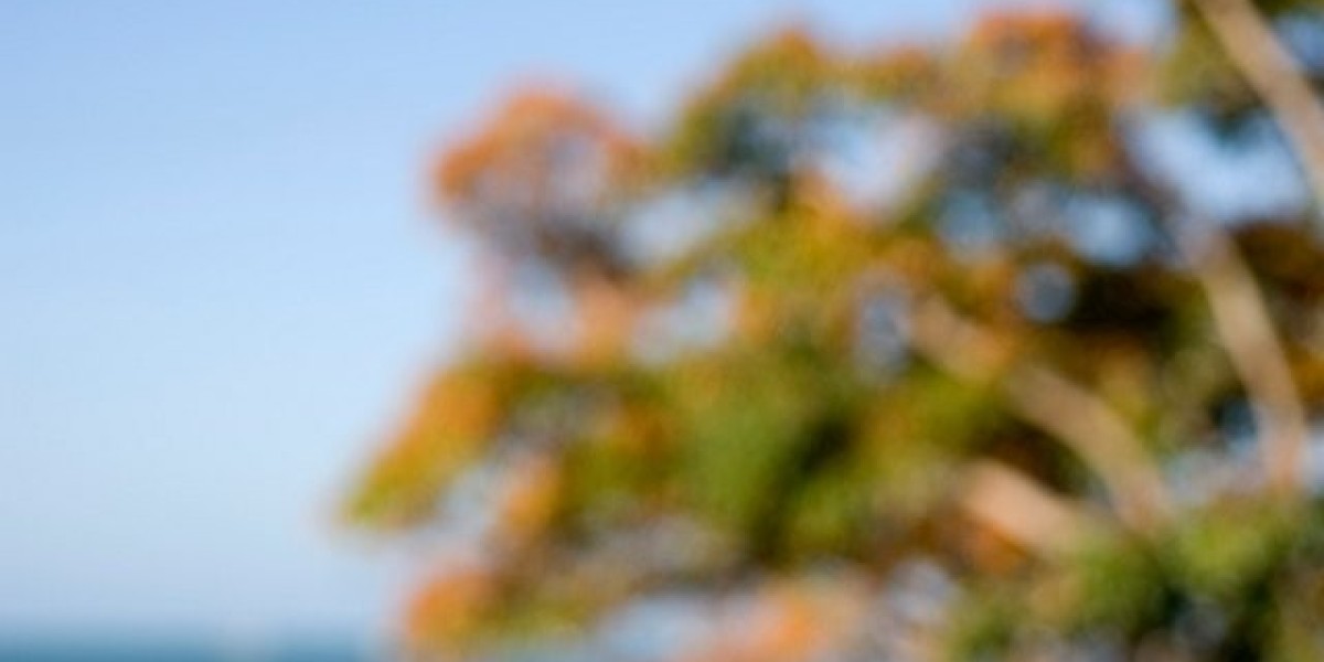 Skycrown Casino AU Review Bonuses, Promotions, Games