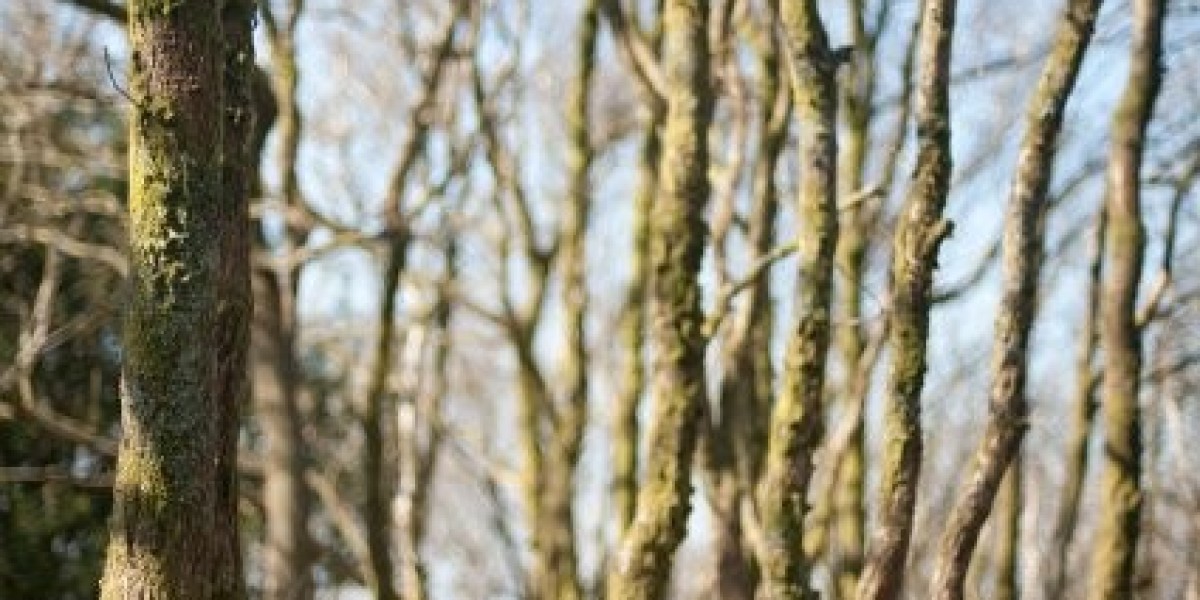 ASX SGR: Rescue deal for Star Entertainment wont solve its existential crisis