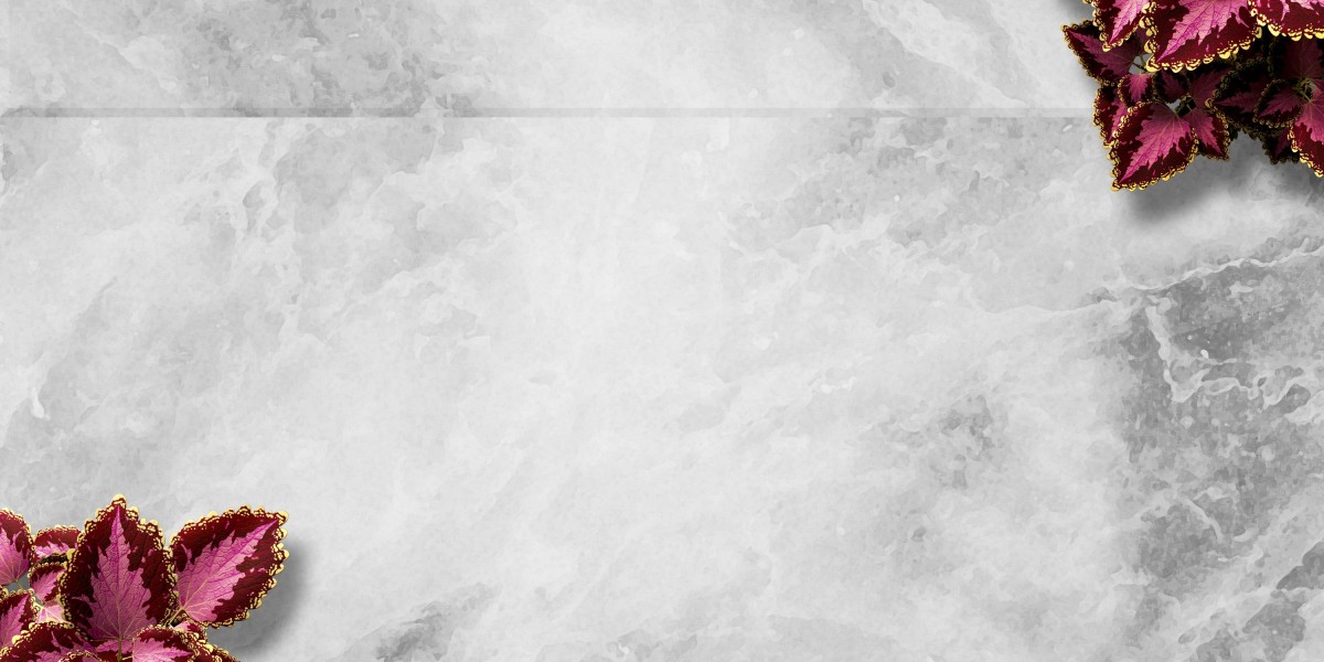 Sugar Daddy Websites In New Zealand: A Complete Evaluation