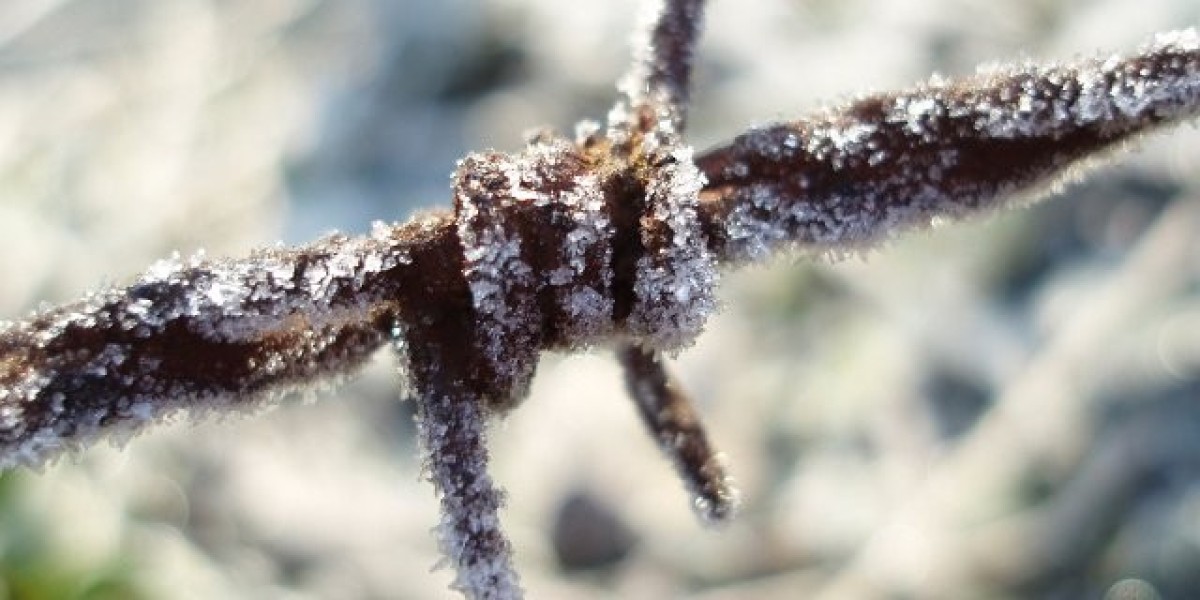 Exploring the Allure of the Ultimate Gaming Experience with WS Casino App