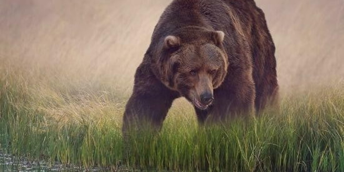 Ground Lease: Explained