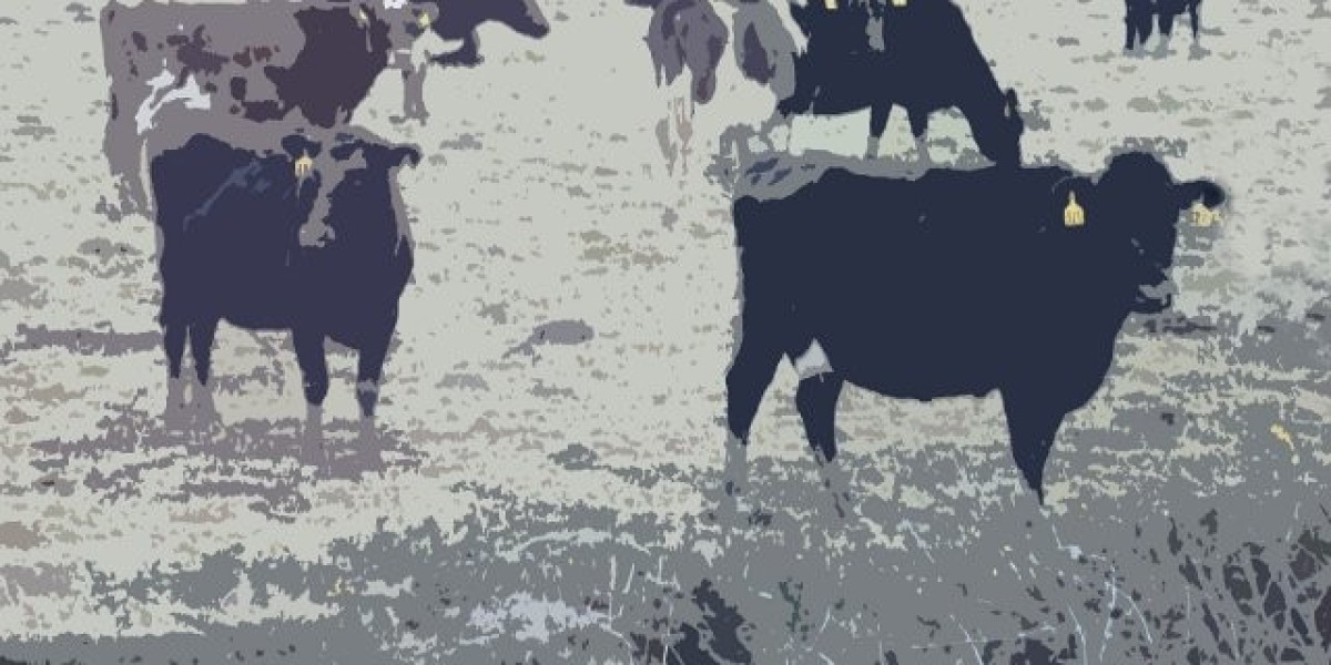 Best Australian Online Casino Reviews 2025 Safe & Trusted