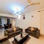 reeltor737 Profile Picture