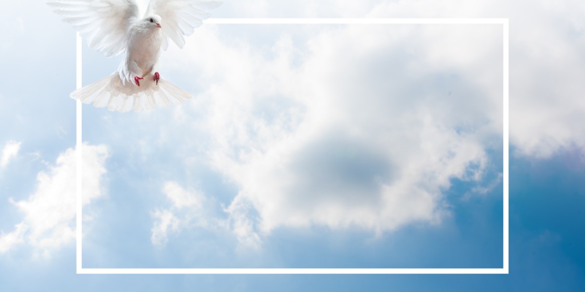 Understanding Provigil: The Implications of Purchasing With no Prescription