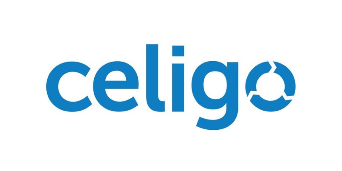 Celigo NetSuite Integration Services | SixLakes Consulting