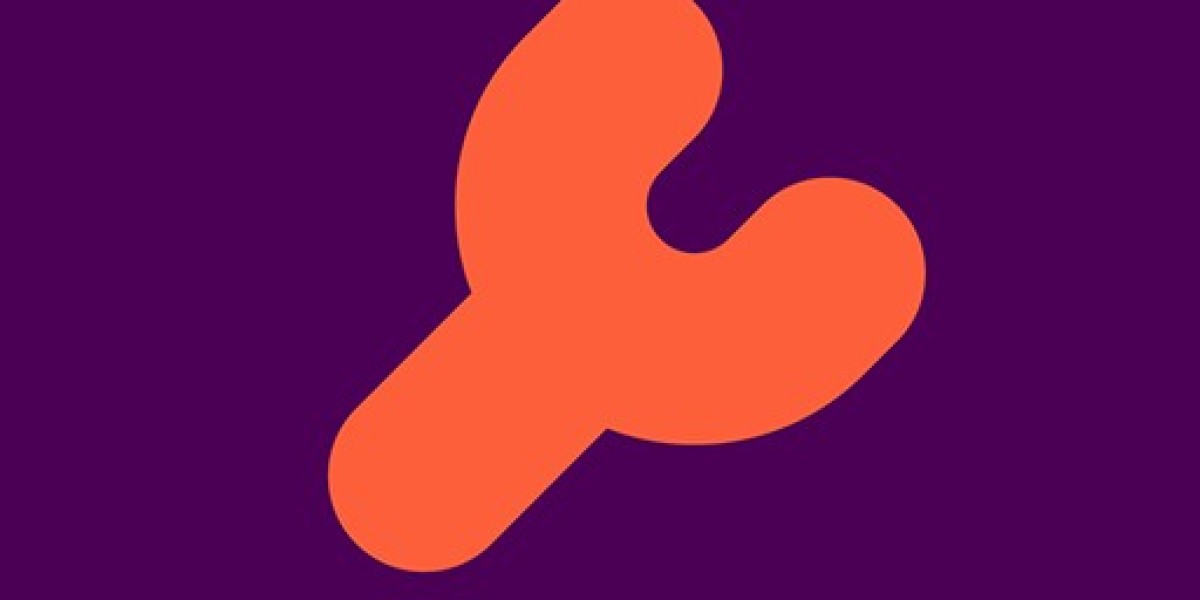 A Success Guide to Implementing Sianty's Software in Your Garage