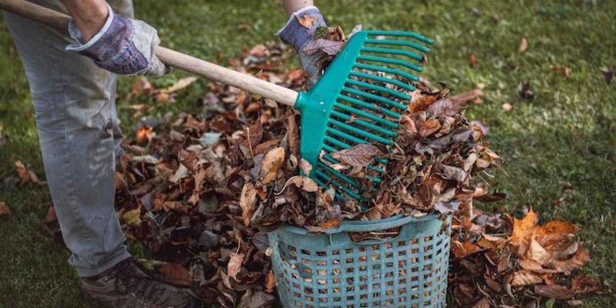 Seasonal Cleanup and Leaf Removal for a Cleaner Property