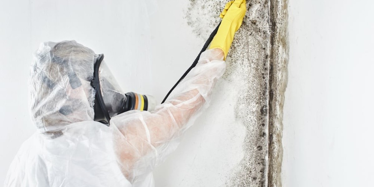 Comprehensive Mold Remediation Services in Sultan, WA