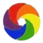 Shopify Website Developer Profile Picture