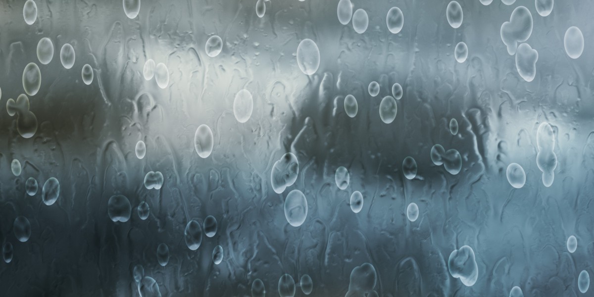 Exploring Personal Loans with Low Interest Rates for Bad Credit: A Comprehensive Study