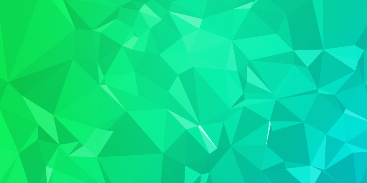 Understanding Small Short-Term Loans with No Credit Check: A Case Study