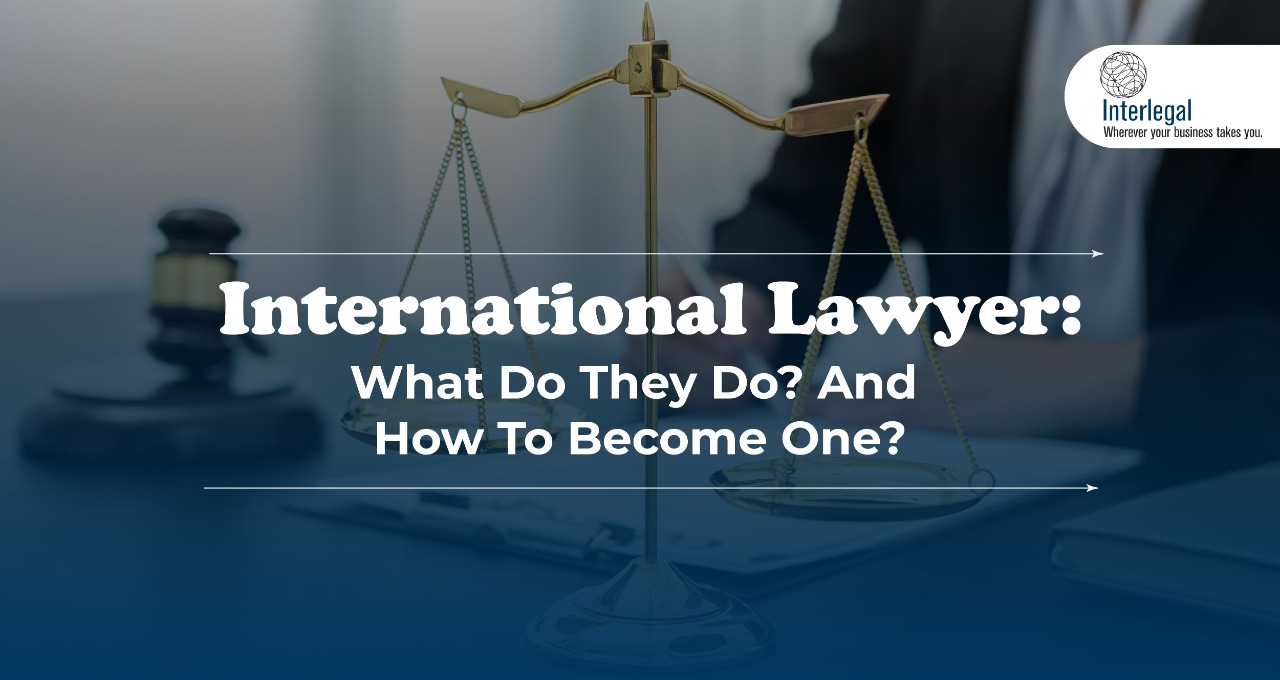 What Do International Lawyer Do? And How To Become One?