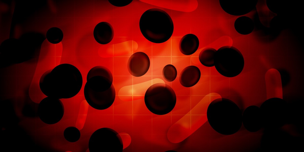 Soaring Skyward: The Rising Costs of Charter Jet Services