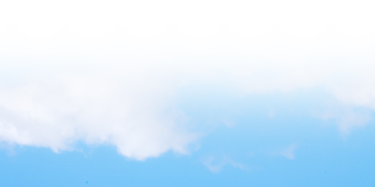 Understanding Personal Loans for Bad Credit: The Role of Cosigners