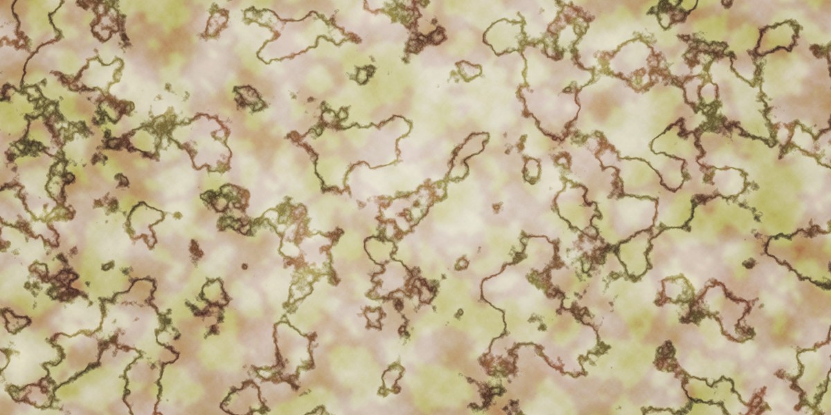 The Rise of Private Jet Charter Services: A Comprehensive Case Study