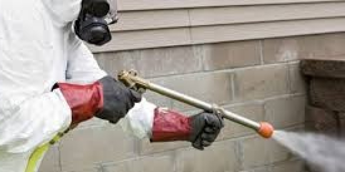 Emergency Termite Control Lahore Fast Protection for Homes and Businesses