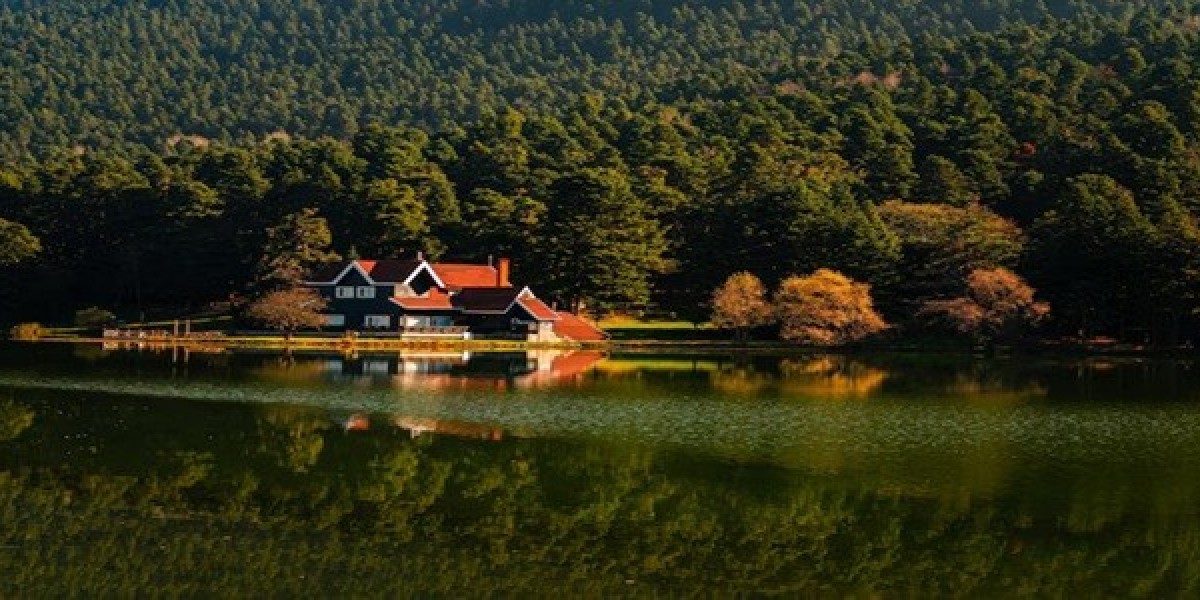 Experience Serenity at Mary Budden Estate – A Perfect Homestay in Binsar