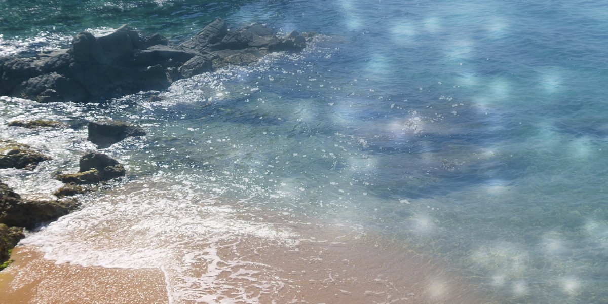 The Rise of VIP Jet Rental: A Comprehensive Analysis of Luxury Air Travel