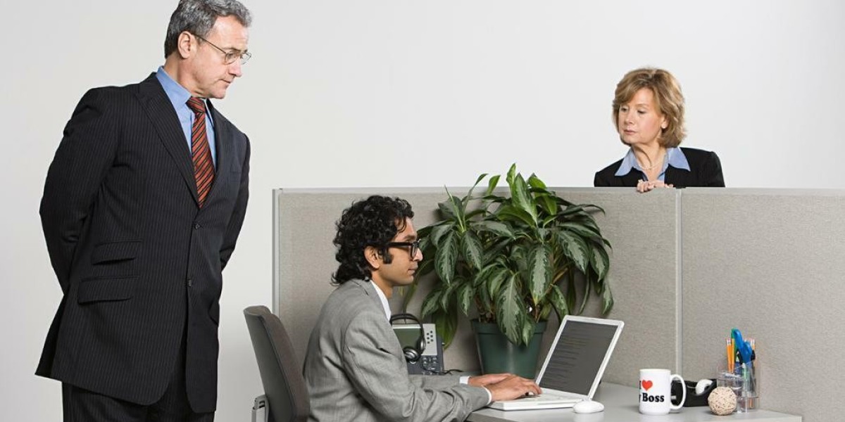 Пошук дошкільної освіти в Києві без зайвих складнощів разом із Kamon