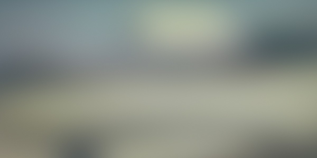 Exploring Plane Charter Services Near You