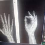 Albert Powell Profile Picture