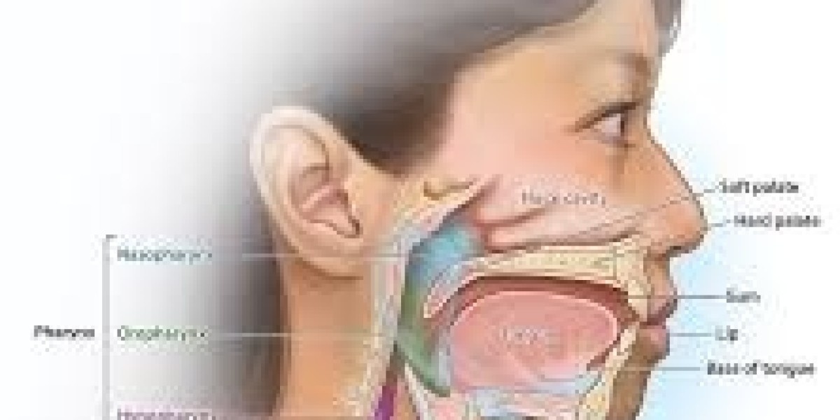 Advanced ENT Clinic Offering Expert Care for Throat Infections Patients