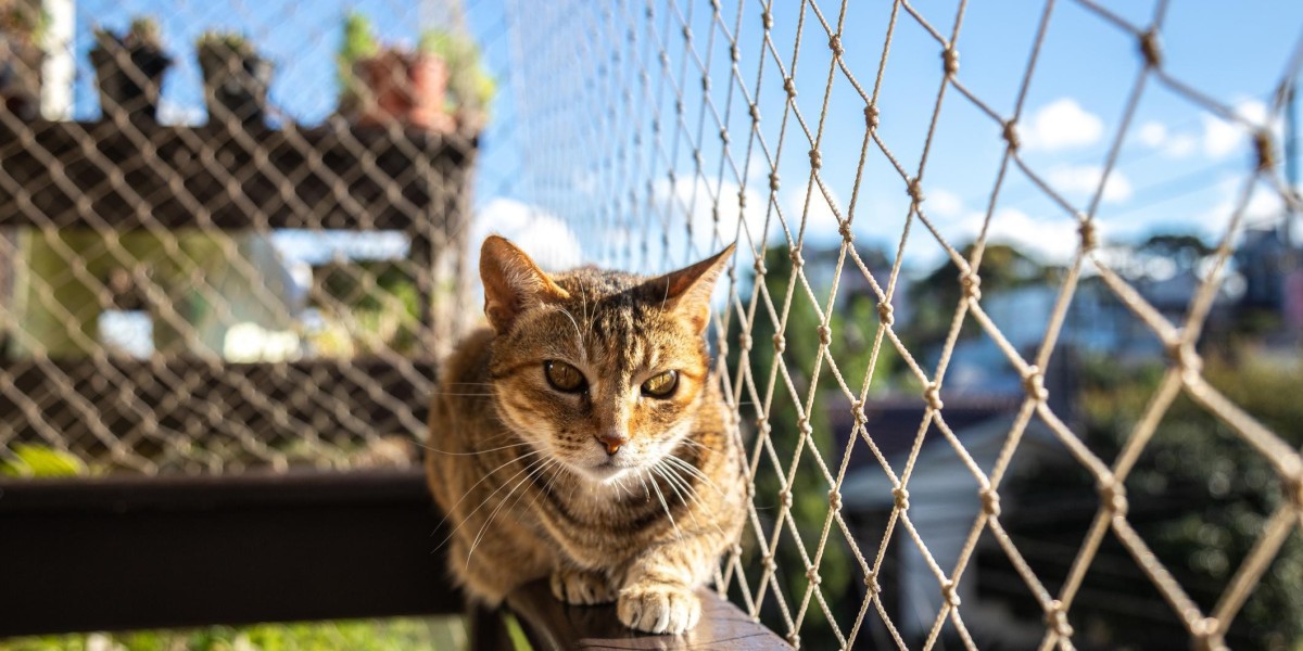 Cat Netting in Dubai for Apartment Safety