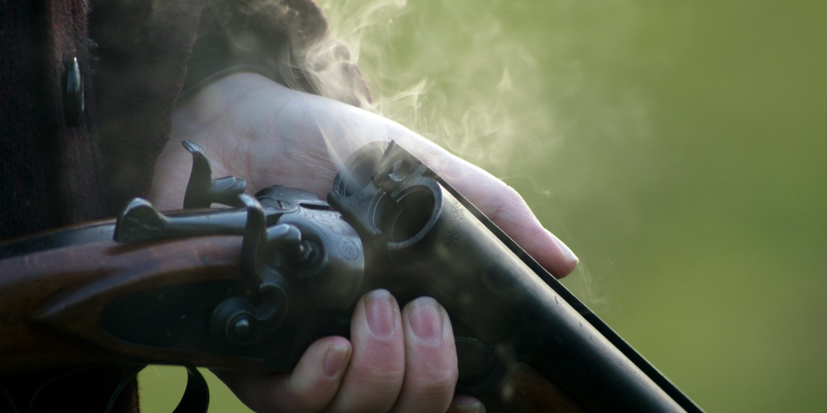 .500 Nitro Express Ballistics: How Powerful Is It Really?