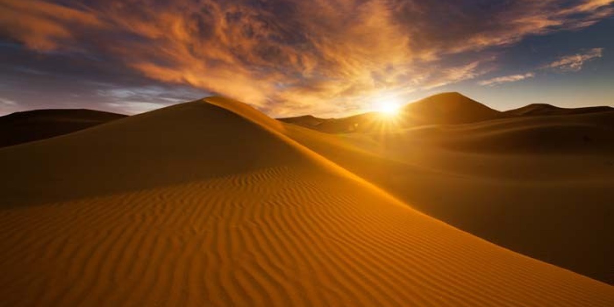 Red Dune Desert Safari Dubai: Activities, Highlights & What to Expect