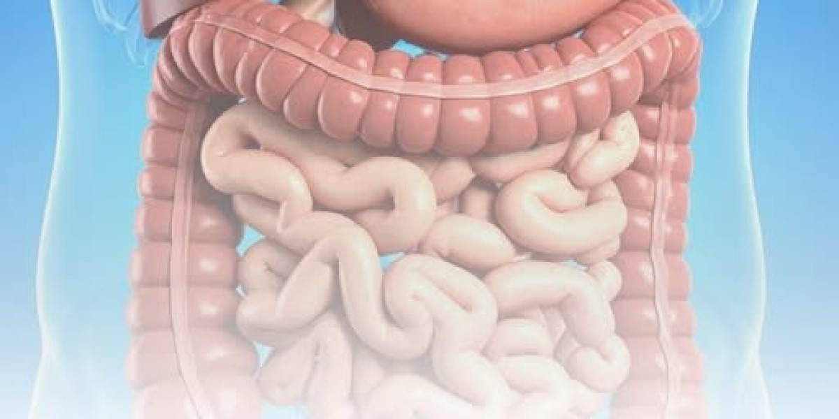 Why Liver Health Matters More Than You Think: Early Signs, Risks, and Prevention