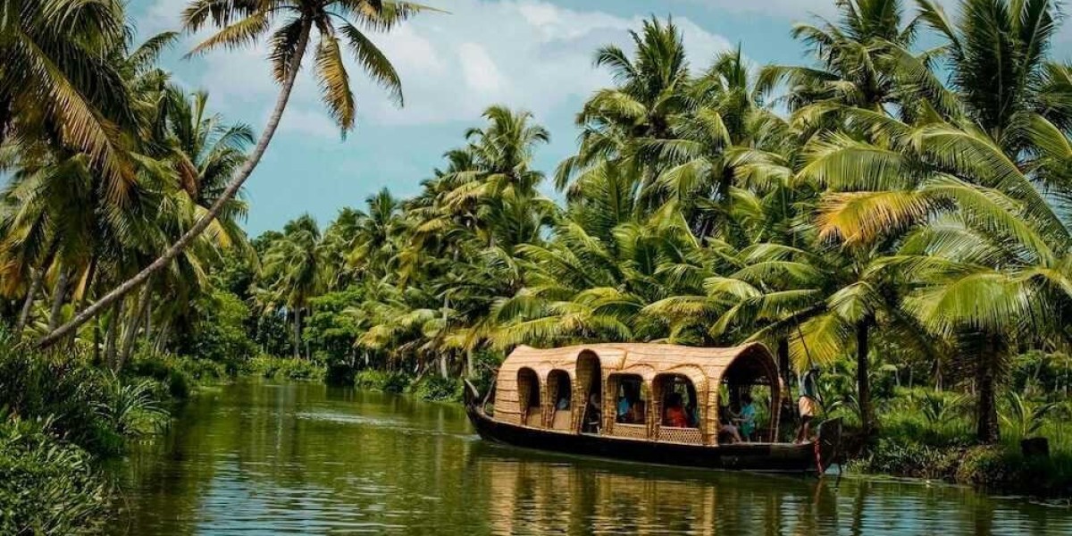 Holidays to Kerala, India: An Insider’s Guide to 10 Authentic Experiences for 2026