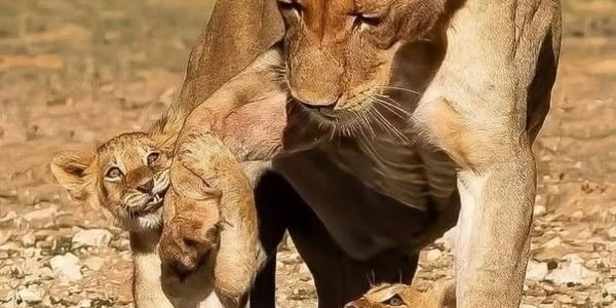 The outlook for the Yankees infield headed into the offseason