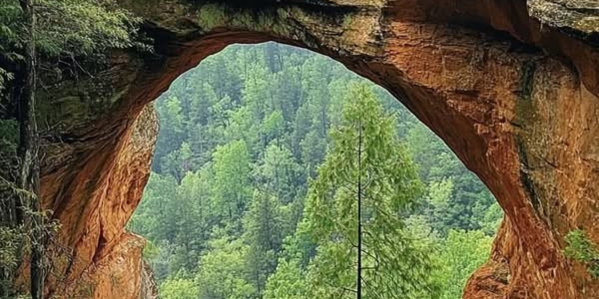 Content Birthday Monthly bill Caudill