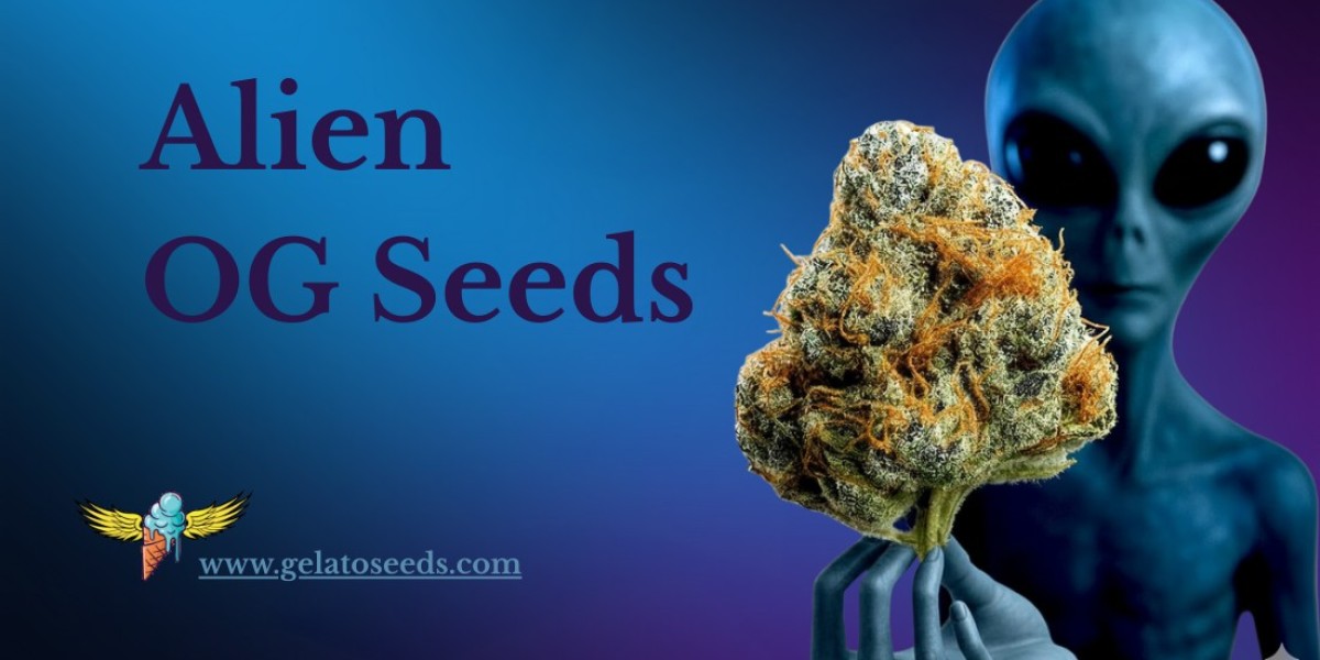 The Stellar Lineage of Alien OG Hybrid Seeds