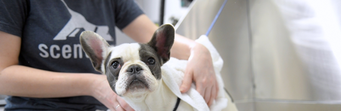 Scent Hound Apex Cover Image