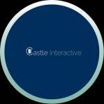 CastleInteractive Profile Picture